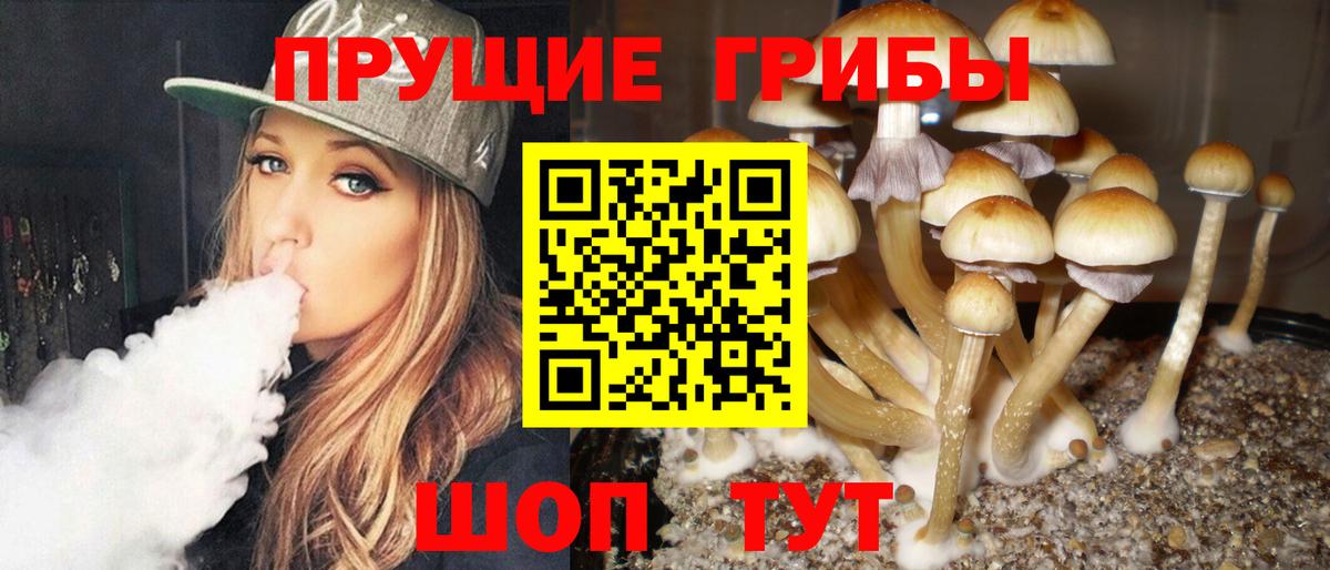 Псилоцибиновые грибы Psilocybe  Вход с VPN  Ижевск 